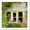 Cotswolds UK Gallery