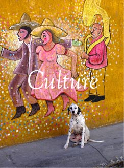 Culture Gallery